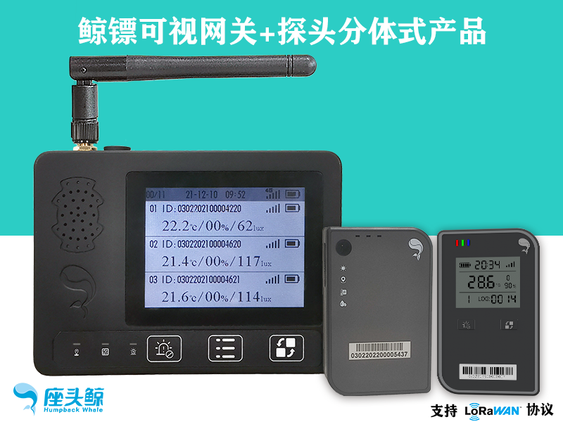 鲸镖系列智能可视网关