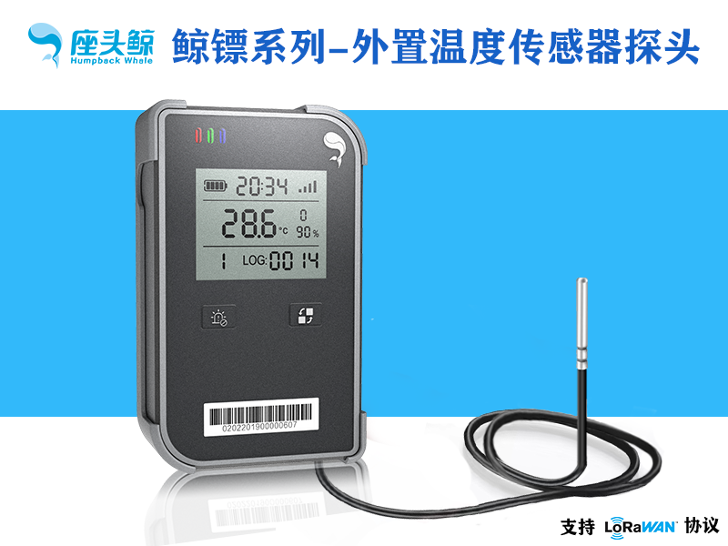 外置温度探头-可视外置温度数据采集鲸镖系列传感器