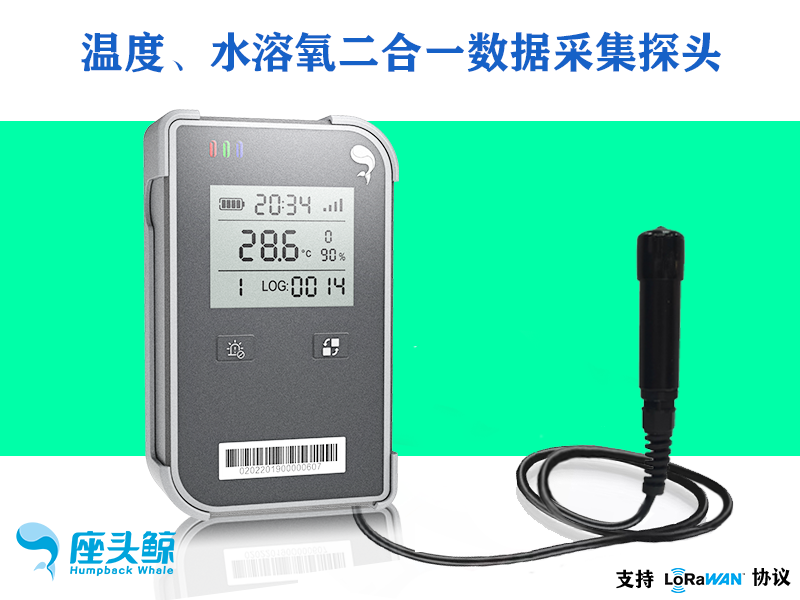 水溶氧温度二合一可视鲸镖系列数据采集传感器