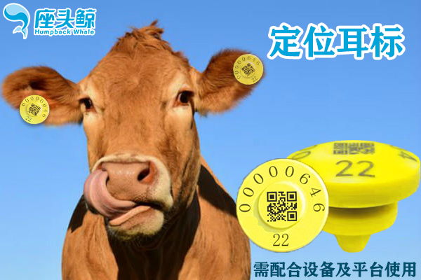 智慧养殖育肥定位电子耳标 防拆