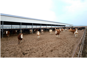 农牧场资产确权解决方案