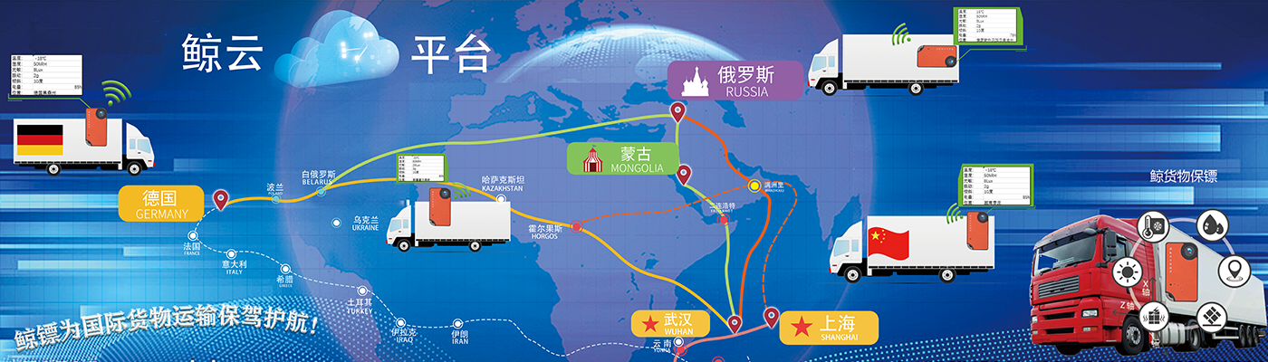 鲸镖遍布世界各地